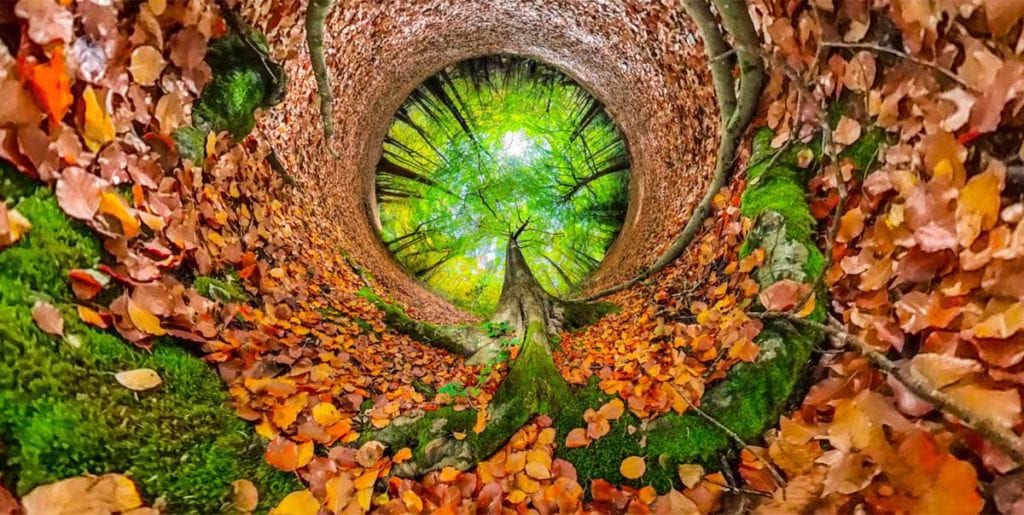 VR Education Increases Awareness For Sustainability 1024x515